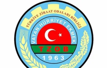 Mandalinada Rekor Fiyat Farkı: Üreticide 6 TL, Markette 30 TL