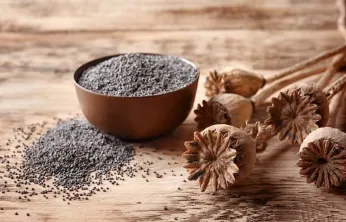 Mavi Haşhaş Tohumu Satışı Başladı