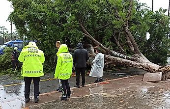 Meteoroloji'den uyarı: 5 bölgede kuvvetli rüzgâr bekleniyor