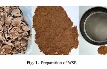 MTÜ Araştırmasıyla Ceviz Kabuğu Atıkları Yol Yapımında Ekonomik ve Sürdürülebilir Kullanılıyor