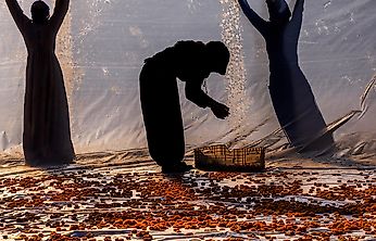 MTÜ ve Battalgazi Belediyesi'nin Fotoğraf Yarışmasında Ödüller Sahiplerini Buldu