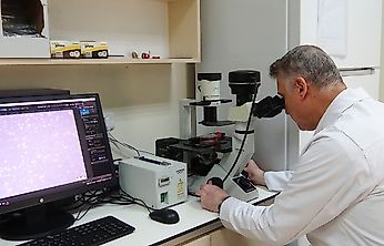 Prof. Dr. Parlakpınar: İlaç adayları artık sentezlenmeden belirlenebiliyor