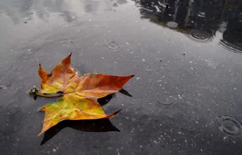Rüzgâr Yön Değiştiriyor: Marmara'da Kuzey, Diğer Bölgelerde Güney Etkili Olacak