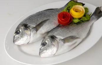 Su Ürünleri Sektörü Egeli İhracatçıların Gururu: Toplamın Yüzde 80'i