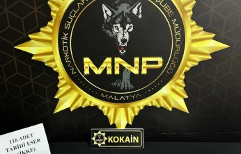 Tarihi Eser ve Uyuşturucu Baskını: Y.E.Y. Tutuklandı