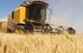 Tarım-GFE Ekim'de Yıllık %33,66 Arttı