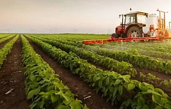 Tarım-ÜFE Ağustos'ta Yüzde 0,93 Geriledi