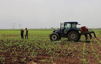 Tarımsal destekleme ödemeleri çiftçilerin hesaplarına aktarılacak