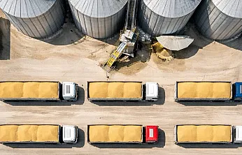 TMO 1,2 milyon ton buğdayı TÜRİB üzerinden satışa sunuyor