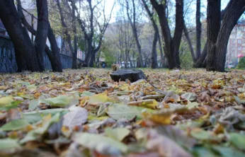 Ülke genelinde yağış beklenmiyor