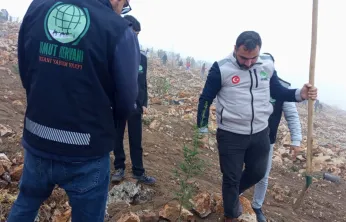 Umut Kervanı'ndan Beydağı'nda Çam Fidanı Seferberliği