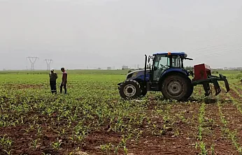 Üretici Maliyetleri Tarımda Tırmanıyor: Meyvede Yıllık Artış %109'u Aştı