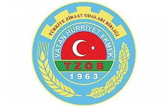 Üreticide 3,90 TL, Markette 42,87 TL! Limonda Fiyat Farkı Yüzde 999'u Aştı