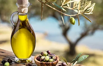 Yeşilin Altın Damlası 2 ile Zeytinin Yolculuğu Objektiflere Yansıyor
