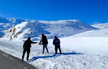 Zabıta'dan Yaban Hayatına Şefkat Eli