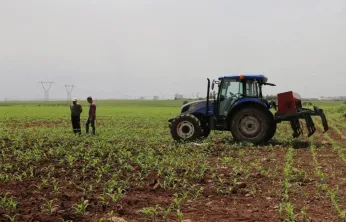 Zirai dondan etkilenen çiftçilere 707 milyon liralık destek