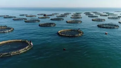 Su ürünleri avcılığı sözleşmeli üretim kapsamına alındı