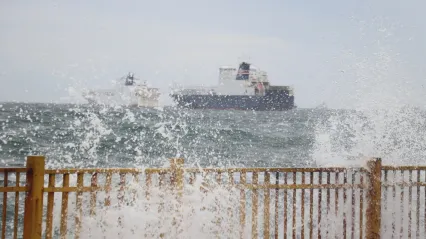 Fırtına Deniz Ulaşımını Vurdu: İDO ve BUDO Seferleri İptal