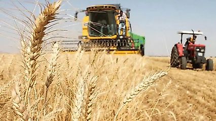 Güneydoğu'nun hububat sektörü ihracatı 8 ayda 2,5 milyar dolara ulaştı