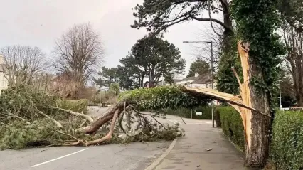 Kuzey Ege ve Marmara'da Fırtına Alarmı
