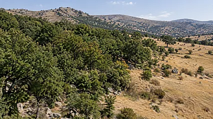 Malatya Kuluncak'ta Orman Sınırlarıyla İlgili Yeni Karar