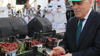 Mardin'deki Kiraz Festivali'ne STK'lardan 'israf ve duyarsızlık' tepkisi