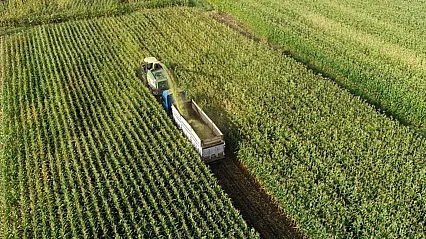 Organize Tarım Bölgeleri Büyüyor: Üretimde 1,1 Milyon Ton Hedefi