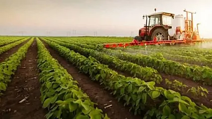 Tarım-ÜFE Ağustos'ta Yüzde 0,93 Geriledi