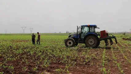 Tarımda Yeni Destekler: 2025-2027 Döneminde Organik Tarım, Genç ve Kadın Çiftçilere Teşvik