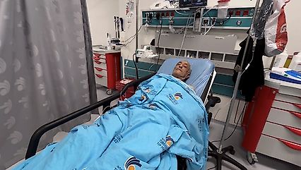 Arıların Saldırısına Uğradı, Ölümden Döndü