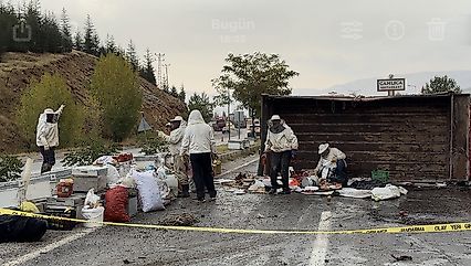 Malatya'da Arı Yüklü Kamyon Devrildi: 3 Yaralı