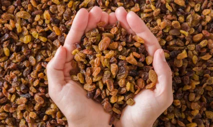 153 Bin Tonla Dip, 546,5 Milyon Dolarlık Dövizle Zirve