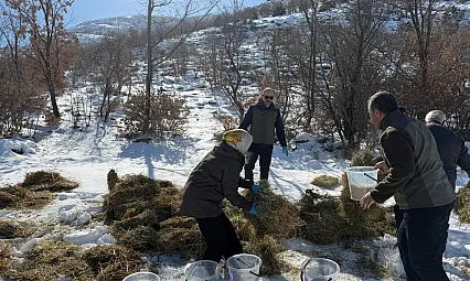 Doğanşehir'de Yaban Hayvanlarına Doğadan Destek
