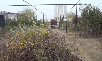 Malatya'da Afet Sonrası Büyük Kayıp: Fidanların Yarısı Hasarlı