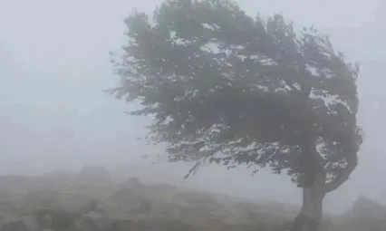Meteoroloji 4 il için sarı kod verdi: Sağanak, dolu ve hortum ihtimali