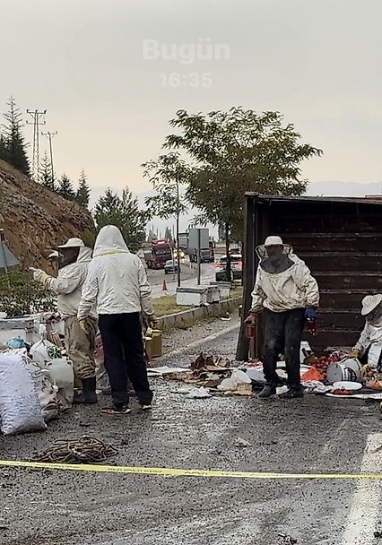 Malatya'da Arı Yüklü Kamyon Devrildi: 3 Yaralı