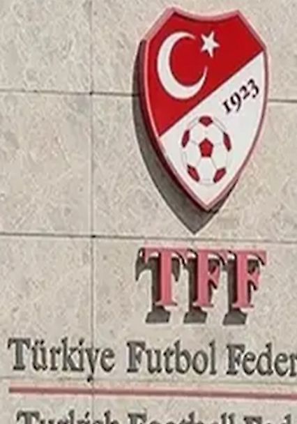 Yasa Dışı Bahis Soruşturmasında İki Süper Lig Hakemi Gözaltında