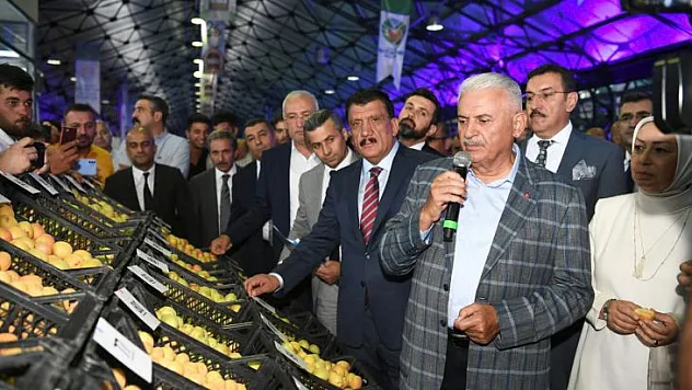 200 Üreticinin Katılımıyla Yaş Kayısı Yarışması Yapıldı