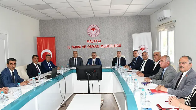 2024 Yılı Kayısı Rekoltesi Tahmini