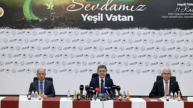 23 Yılda 7,5 Milyar Fidan: Türkiye, Dünyanın En Fazla Ağaçlandırma Yapan 4. Ülkesi