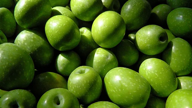 4 aylık sofralık zeytin ihracatı 74 milyon dolara ulaştı