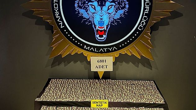 6801 Adet Sentetik Ecza Maddesi