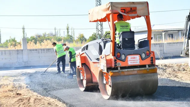 90 Yaşındaki Engelli Gülistan Teyze'nin Yol Talebi Yerine Getirildi