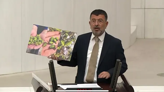 Ağbaba,'Dolu, Bereketle Beklediğimiz Kayısılarımızı Âdeta Yerle Bir Etti'