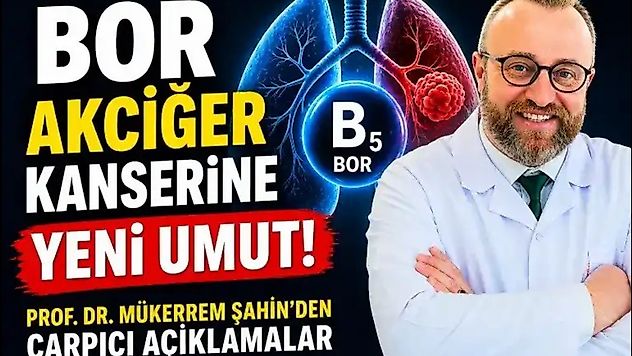 Akciğer Kanserine Karşı 'Nokta Atışı' Tedavi Umudu