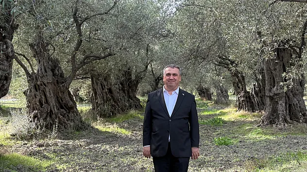 Akhisar, Tütünden Zeytine: Bereketli Toprakların Başarı Hikâyesi