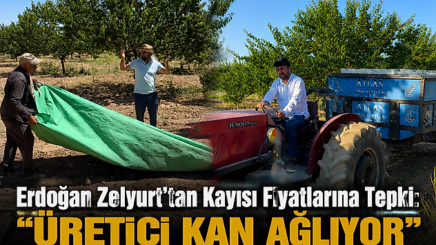 Anahtar Parti'den Festival Eleştirisi: 'Eğlenecek Bir Durum Yok'