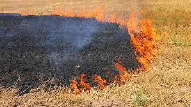 Anız yakmak hem tarım alanlarına hem çevreye hem de canlılara büyük zarar vermektedir.