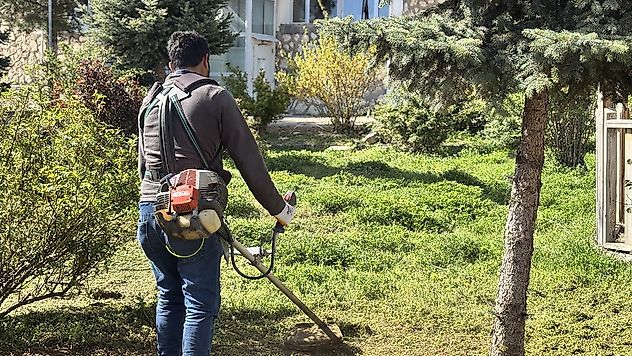 Arapgir Belediyesi'nden Kütüphane Bahçesine Bahar Dokunuşu