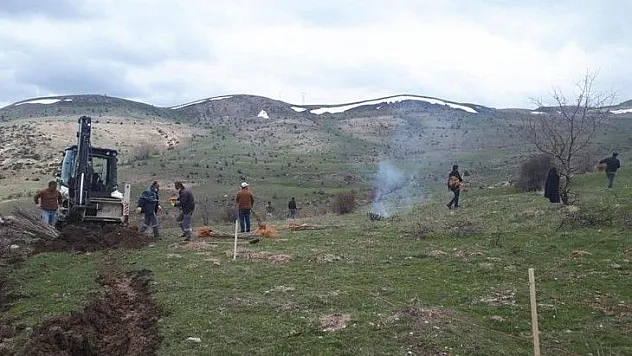 Arapgir'de Bin 500 Dut Fidanı Toprakla Buluştu